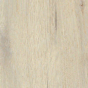 Фасад кухонный МДФ Пленка Сосна белёная седая 1547